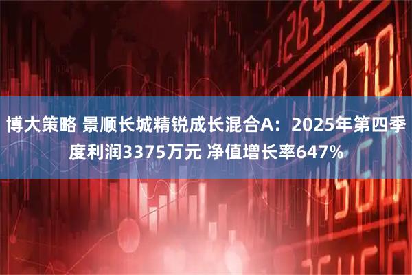 博大策略 景顺长城精锐成长混合A：2025年第四季度利润3375万元 净值增长率647%